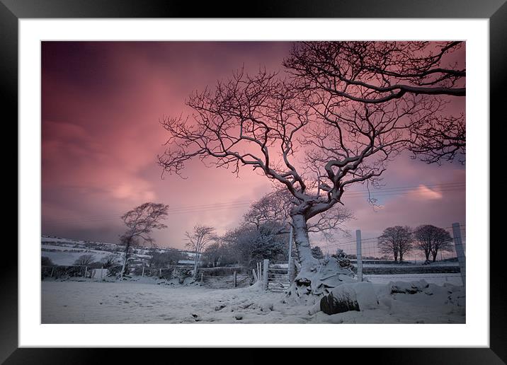 Snow dawn Framed Mounted Print by Izzy Standbridge
