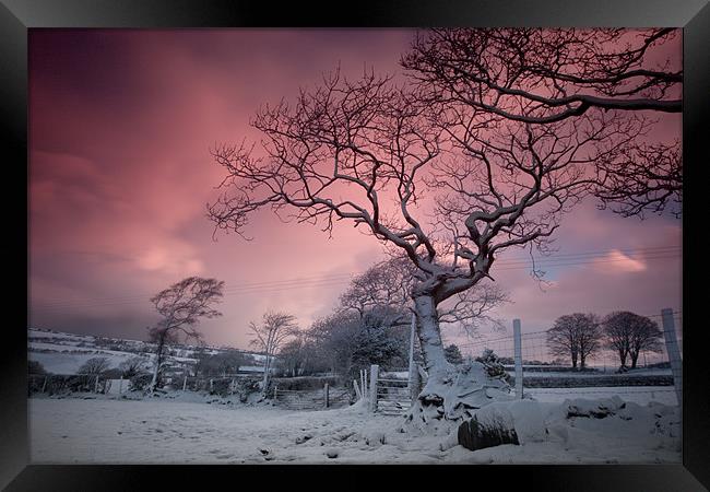 Snow dawn Framed Print by Izzy Standbridge