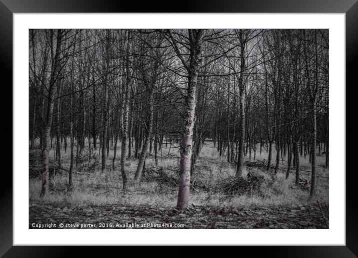 Into the Woods Framed Mounted Print by steve porter