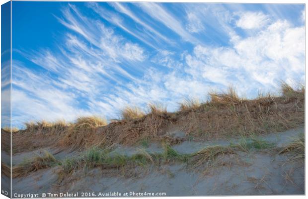 Sky and sand Canvas Print by Tom Dolezal