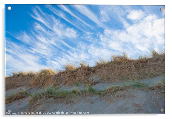 Sky and sand Acrylic by Tom Dolezal