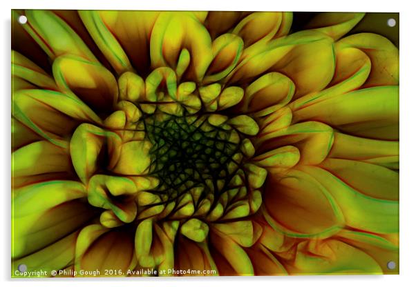 Dahlia In Yellow Acrylic by Philip Gough