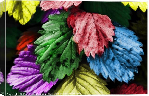Coloured Leaves Canvas Print by Philip Gough