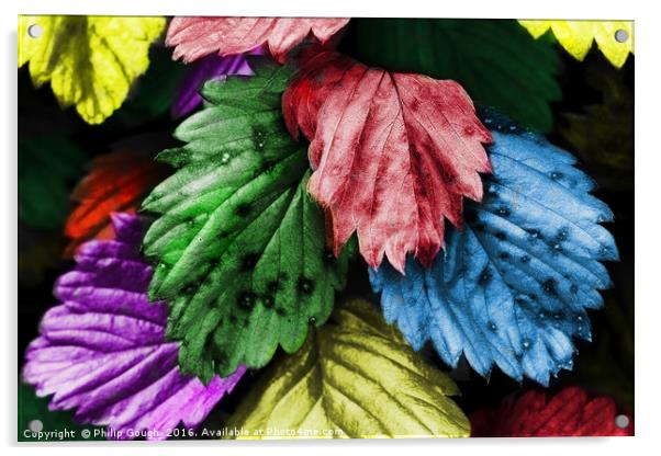 Coloured Leaves Acrylic by Philip Gough