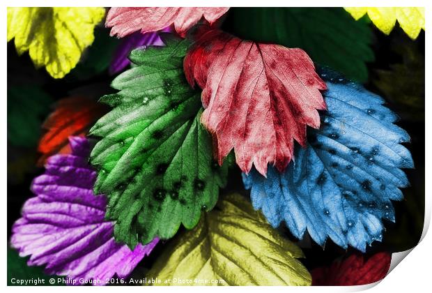 Coloured Leaves Print by Philip Gough