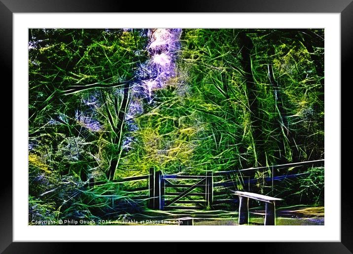 Into The Woods Framed Mounted Print by Philip Gough