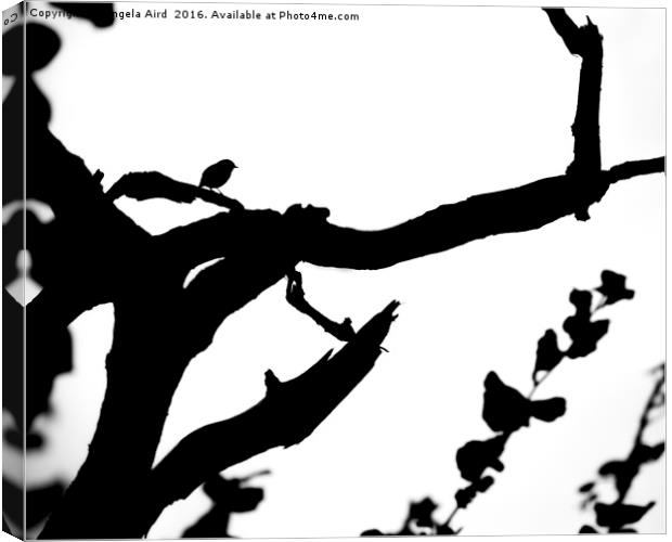 Robin in silhouette. Canvas Print by Angela Aird