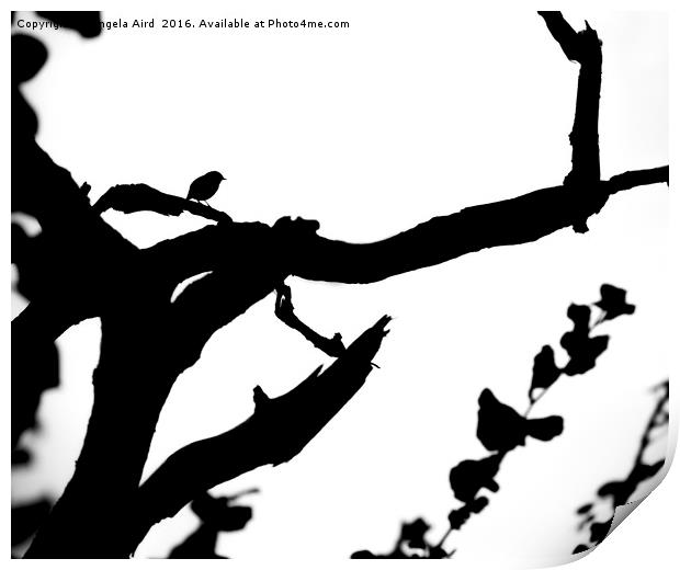 Robin in silhouette. Print by Angela Aird
