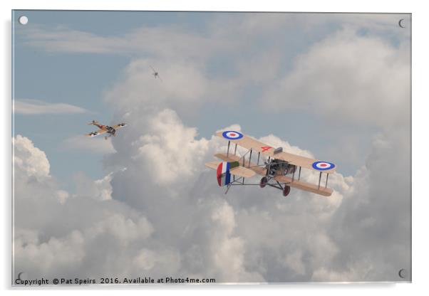 WW1 - The Fokker Scourge - Eindecker Acrylic by Pat Speirs