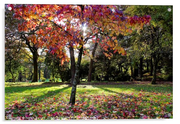 Autumn Woodland Acrylic by Jackie Davies