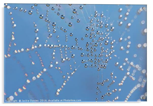 Spider Web Acrylic by Jackie Davies
