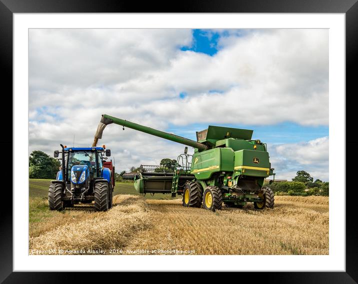 Harvesting at Brignall in Teesdale Framed Mounted Print by AMANDA AINSLEY
