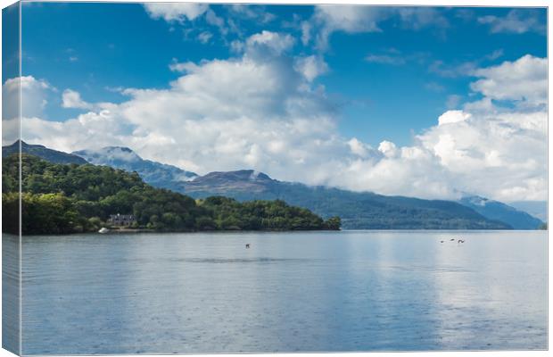 Bonny Banks of Loch Lomond  Canvas Print by George Cairns