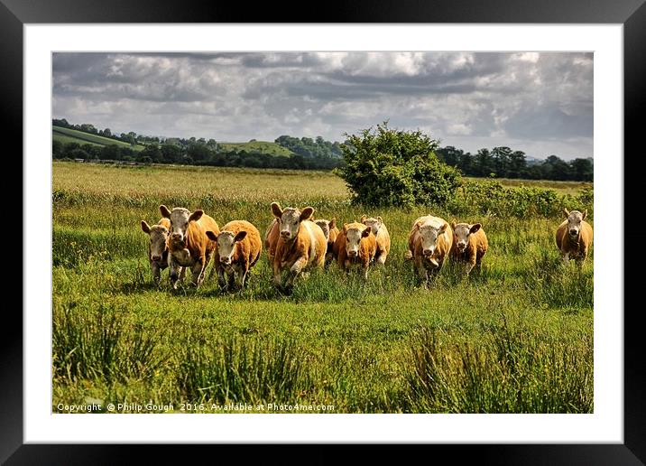 Charge on The Somerset Levels Framed Mounted Print by Philip Gough
