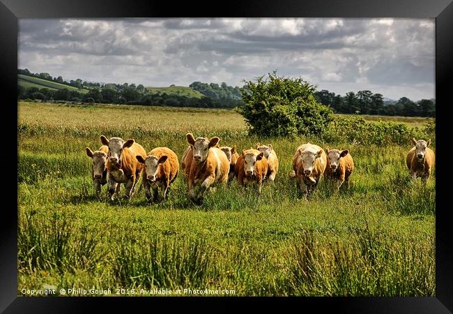 Charge on The Somerset Levels Framed Print by Philip Gough