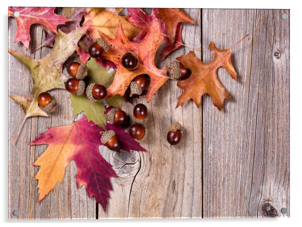 Autumn leaf and acorn decorations on rustic wooden Acrylic by Thomas Baker