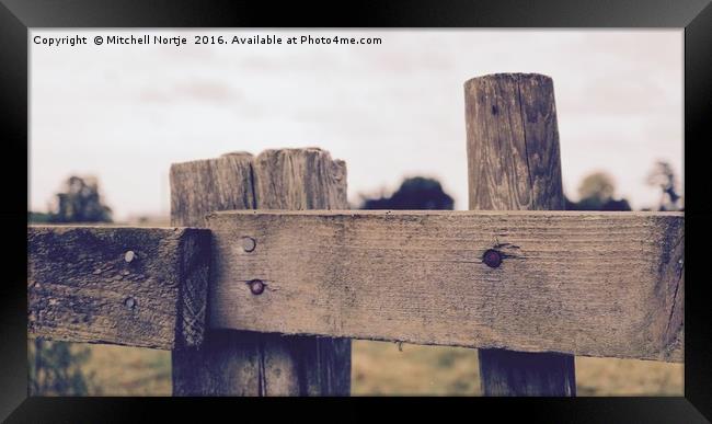 Wooden fence in a field Framed Print by Mitchell Nortje