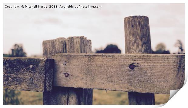 Wooden fence in a field Print by Mitchell Nortje