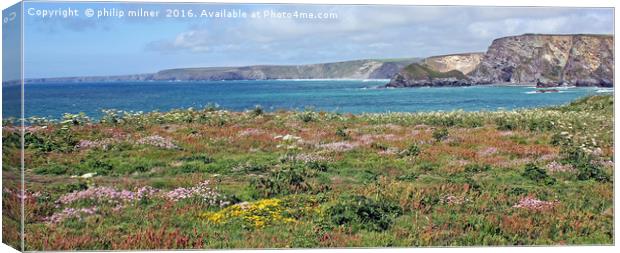 Cliff Top Flora Canvas Print by philip milner