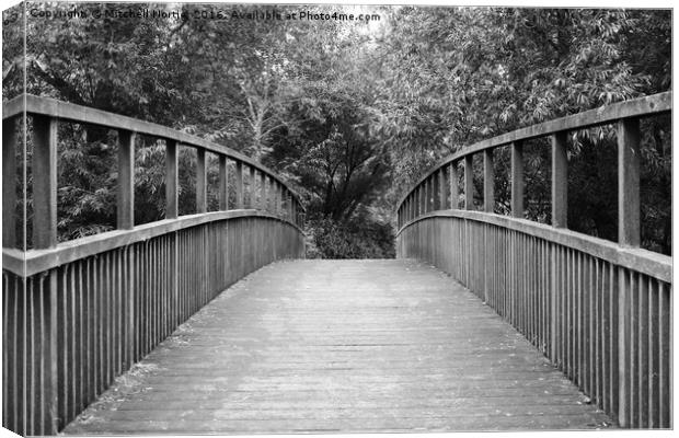 Wooden bridge at Ouzel Valley Park Canvas Print by Mitchell Nortje