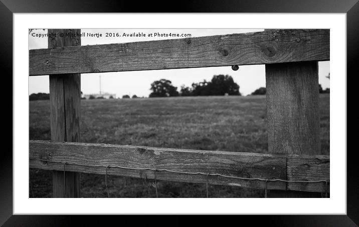 Wooden fence with snail Framed Mounted Print by Mitchell Nortje