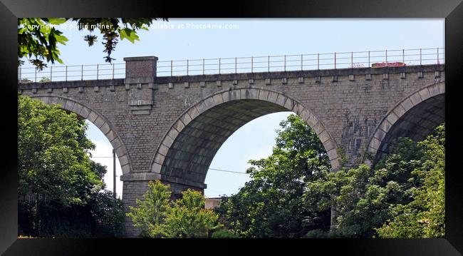 The Treffry Viaduct Newquay Framed Print by philip milner