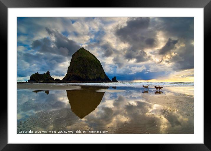 Two Dogs Running on a beautiful Beach Framed Mounted Print by Jamie Pham