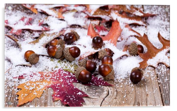 Seasonal autumn leaf and acorn decorations with sn Acrylic by Thomas Baker