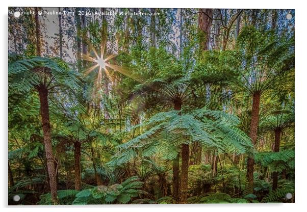 Sunlit Glade, Marysville, Victoria, Australia Acrylic by Pauline Tims