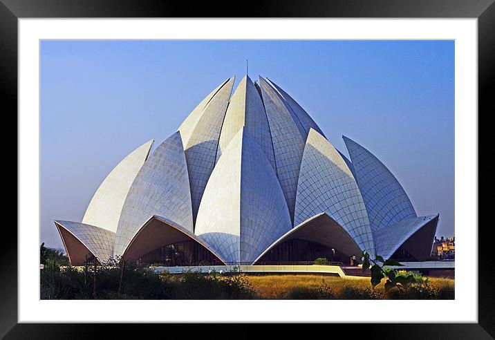 The Lotus Temple Framed Mounted Print by Jacqi Elmslie