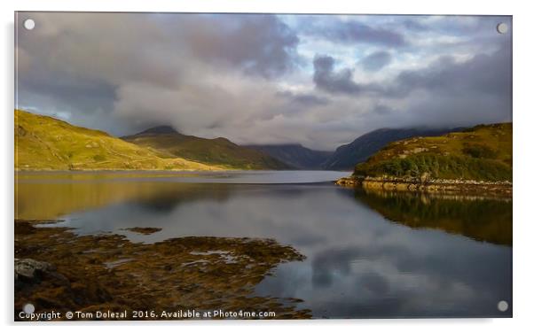 Loch Glendhu evening scene Acrylic by Tom Dolezal