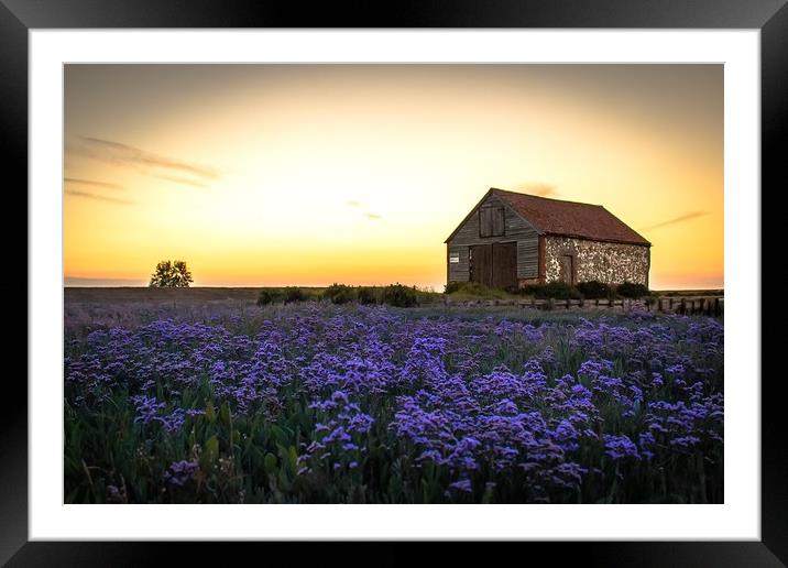 Purple sunset Framed Mounted Print by Ashley Taylor