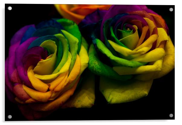 Rainbow RoseS Acrylic by Jenny Rainbow
