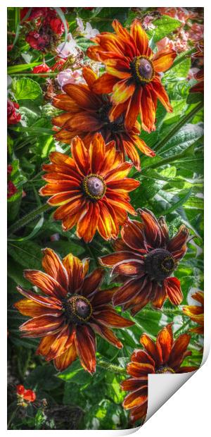 floral beauty Print by sue davies