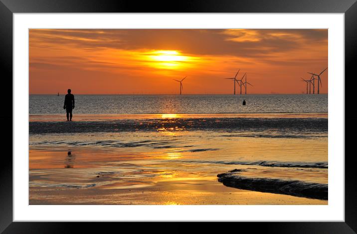 golden reflections Framed Mounted Print by sue davies