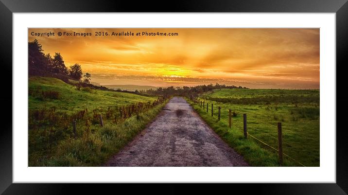 sunset walk Framed Mounted Print by Derrick Fox Lomax