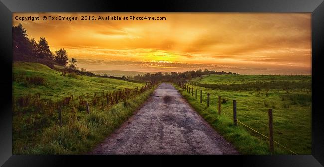 sunset walk Framed Print by Derrick Fox Lomax