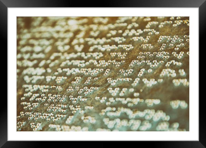 Braille Text Writing On Stone Framed Mounted Print by Radu Bercan
