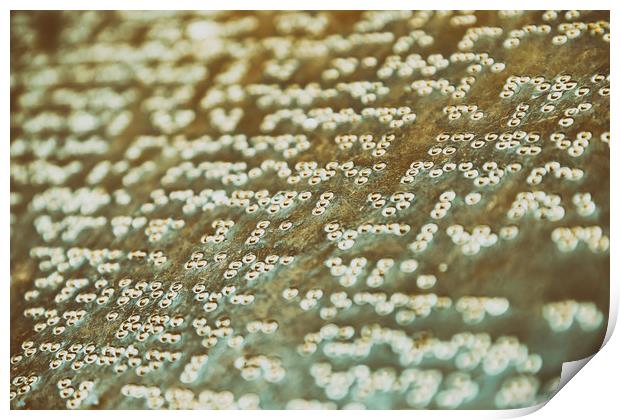 Braille Text Writing On Stone Print by Radu Bercan