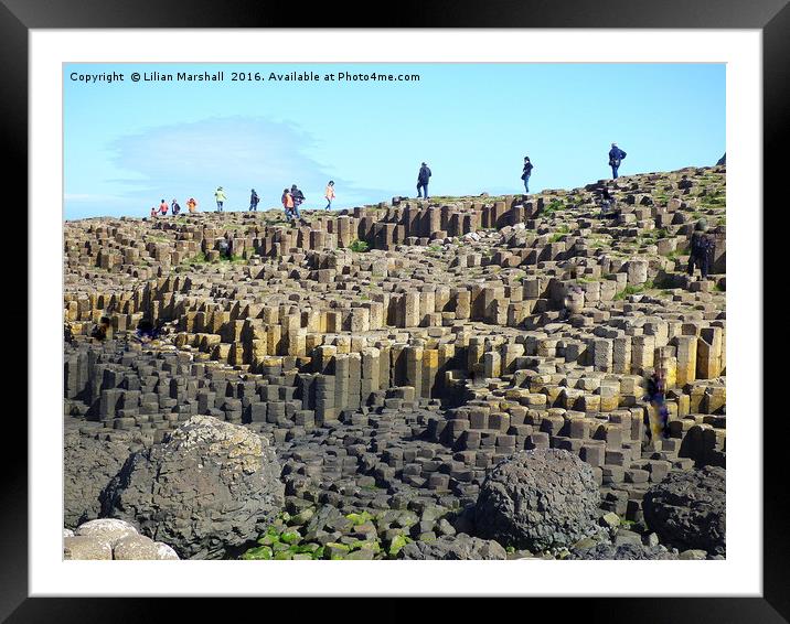 Giants Causeway  Framed Mounted Print by Lilian Marshall