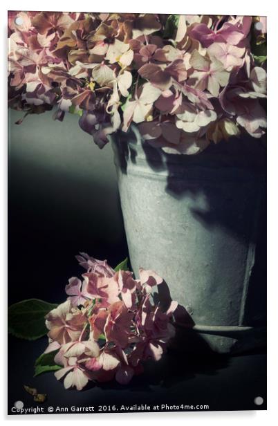 A Bucket of Hydrangeas Acrylic by Ann Garrett