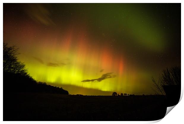 Scottish Aurora Ablaze!  Print by Fiona McRae