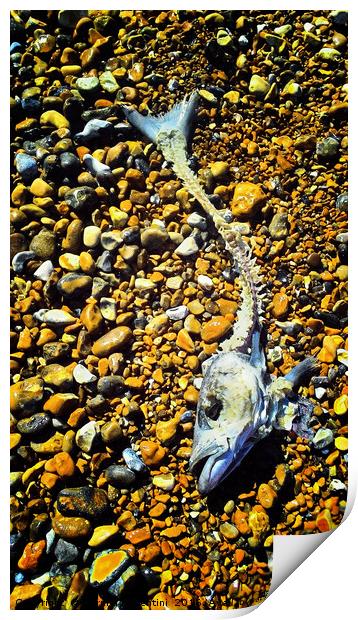 Fish on beach Print by Carmel Fiorentini