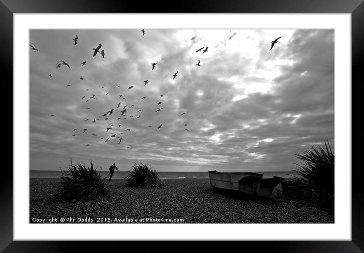 Hungry Birds Framed Mounted Print by Phil Dodds