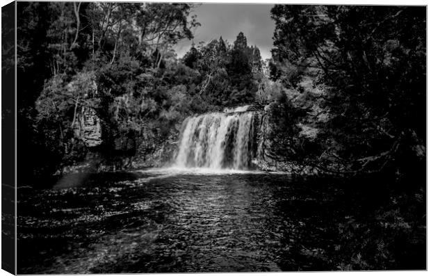 Pine River Waterfall Canvas Print by peter tachauer