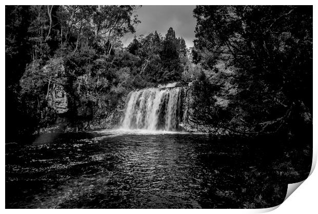 Pine River Waterfall Print by peter tachauer