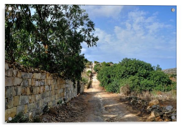 The Roman road Malta Acrylic by Diana Mower