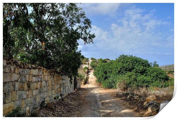 The Roman road Malta Print by Diana Mower