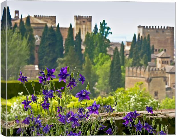The Alhambra Canvas Print by Nic Christie