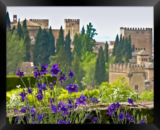 The Alhambra Framed Print by Nic Christie